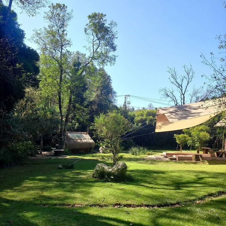 The lawn with a shade sail, seating, and the sauna hut among the trees behind