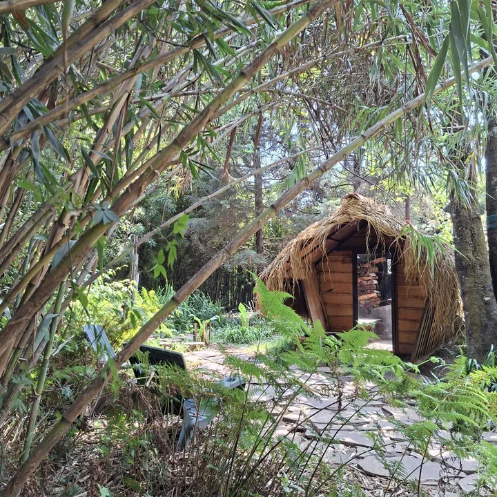 The thatched sauna hut up close, with firewood stacked inside the doorway